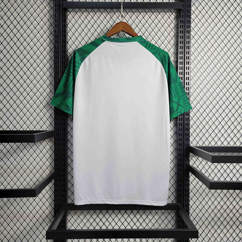 Camisa do Palmeiras 23/24 Special Green White