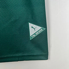 Camisa do Palmeiras 23/24  - Green